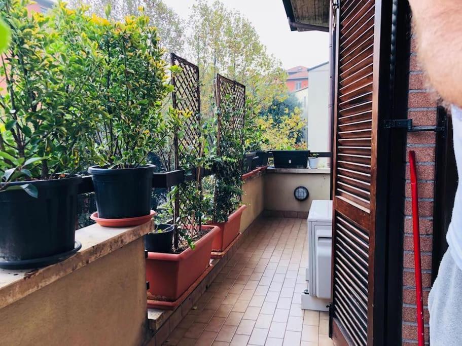 Ketty House B&B - Policlinico Di Monza, U-Power Stadium Luaran gambar