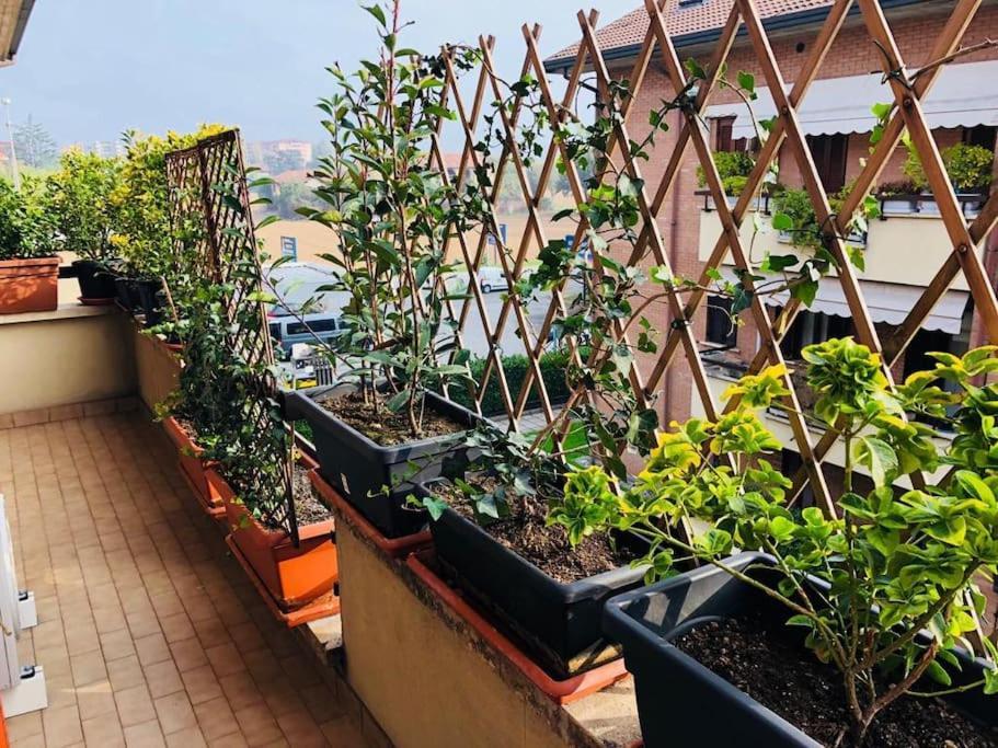 Ketty House B&B - Policlinico Di Monza, U-Power Stadium Luaran gambar